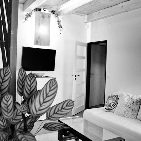 Apartmany Ztracena Roudnice nad Labem Zewnętrze zdjęcie