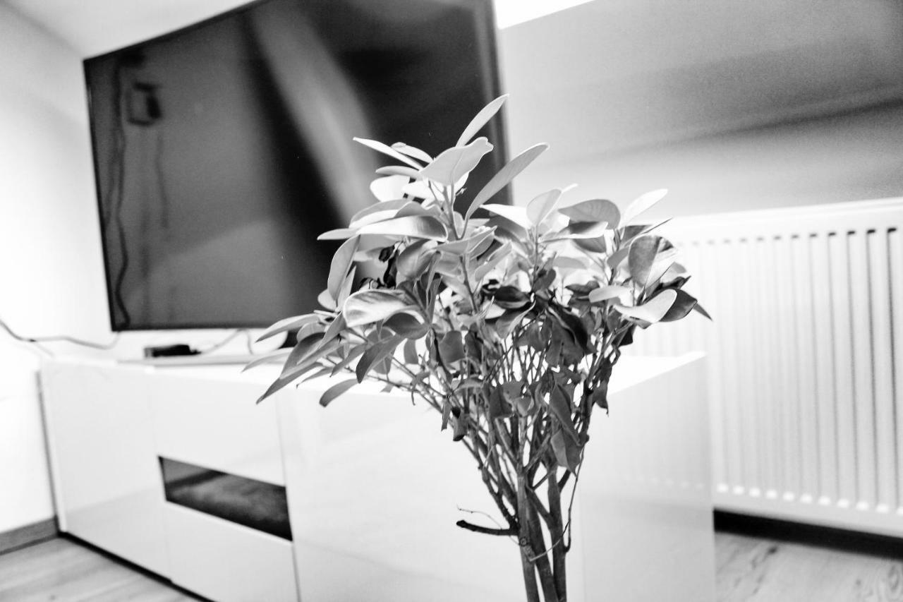 Apartmany Ztracena Roudnice nad Labem Zewnętrze zdjęcie